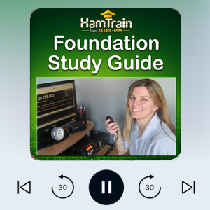 Foundation Study Guide AudioBook Cover In Player