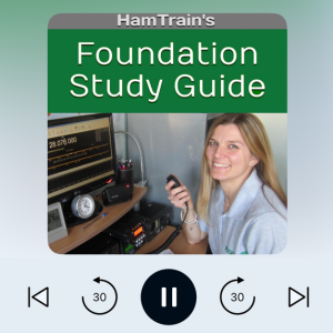 Foundation Study Guide (Audiobook)