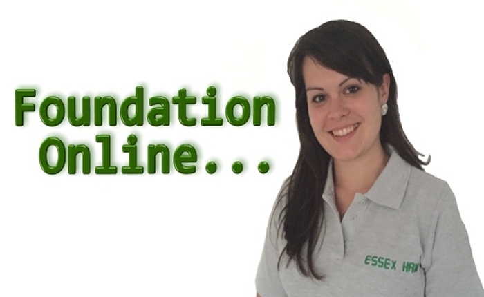 Foundation Online Course 214 (Starts 2 August 2026)